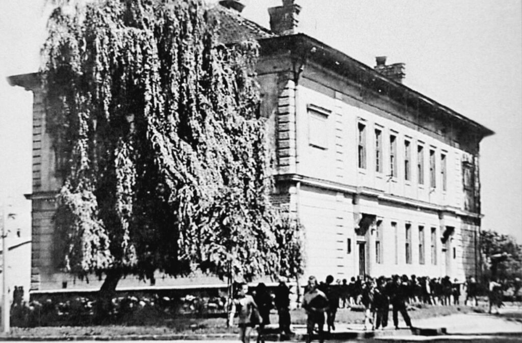 Шездесетих година 20. вијека као основна школа „Мира Цикота“