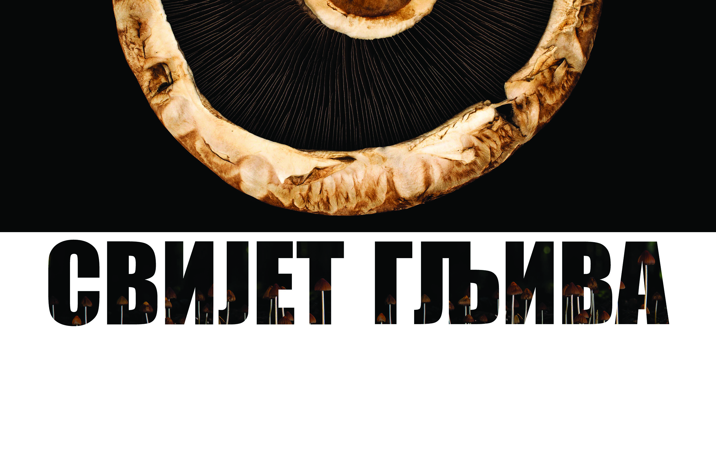 Отворена изложба „Свијет гљива”, аутора Вукашина Зекића